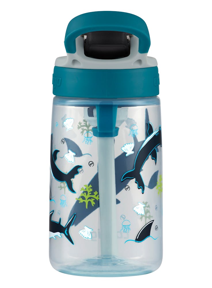 Contigo® Kids Straw Water Bottle with AUTOSPOUT® Lid, 14oz (T6U8)