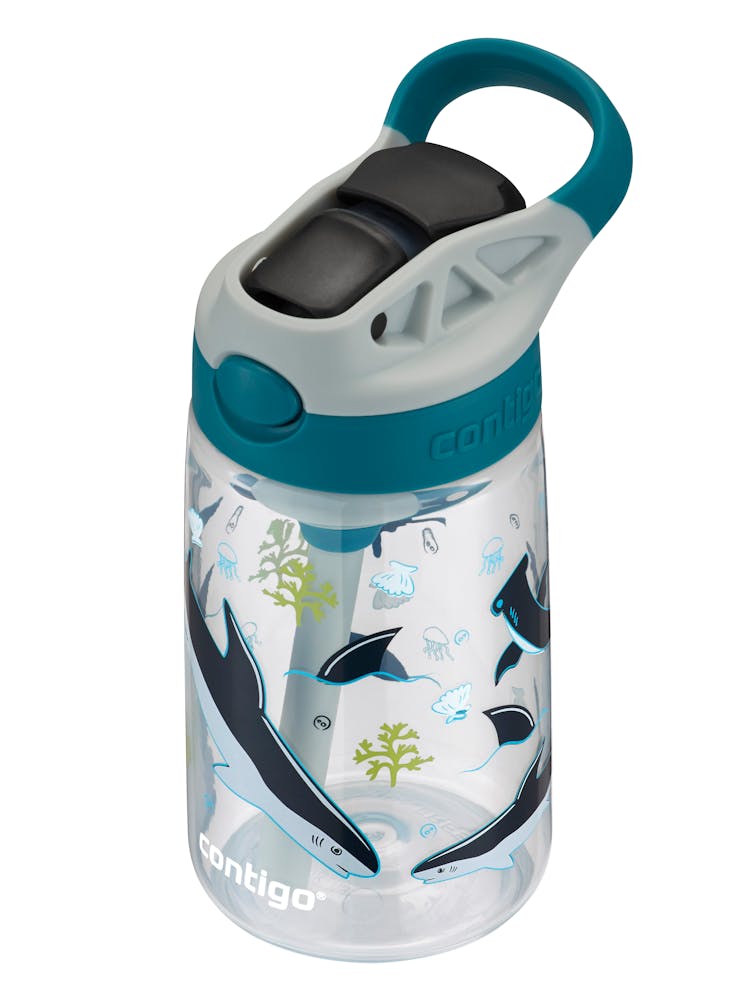 Contigo® Kids Straw Water Bottle with AUTOSPOUT® Lid, 14oz (T6U8)