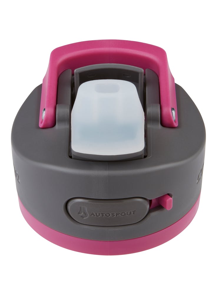 Contigo® Ashland 2.0 Water Bottle with AUTOSPOUT® Lid, 24oz (XING)