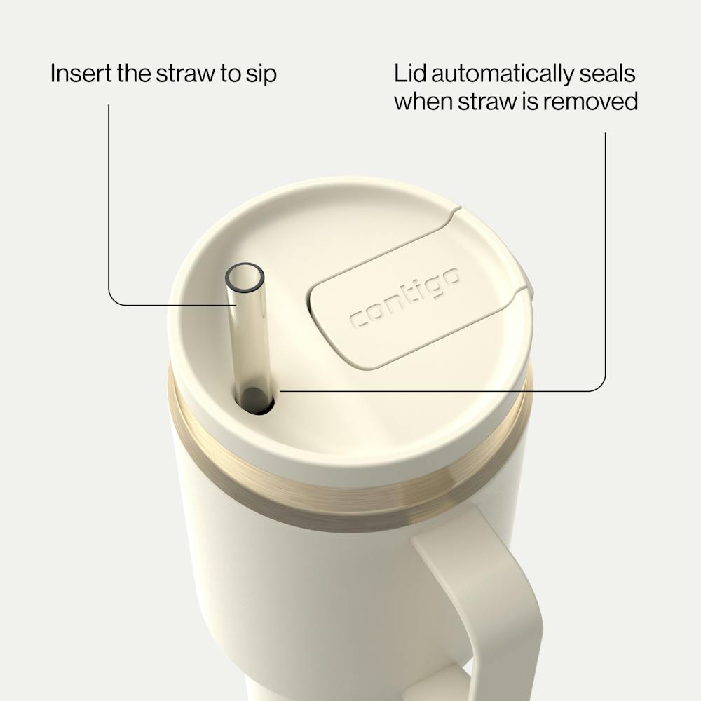 30 oz SnapSeal™ Tumbler (w/ Straw & Handle) (ZJJP)