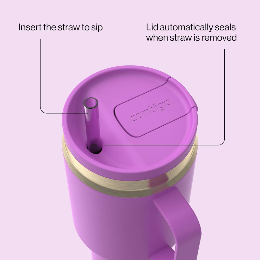 30 oz SnapSeal™ Tumbler (w/ Straw & Handle) (ZJJP)