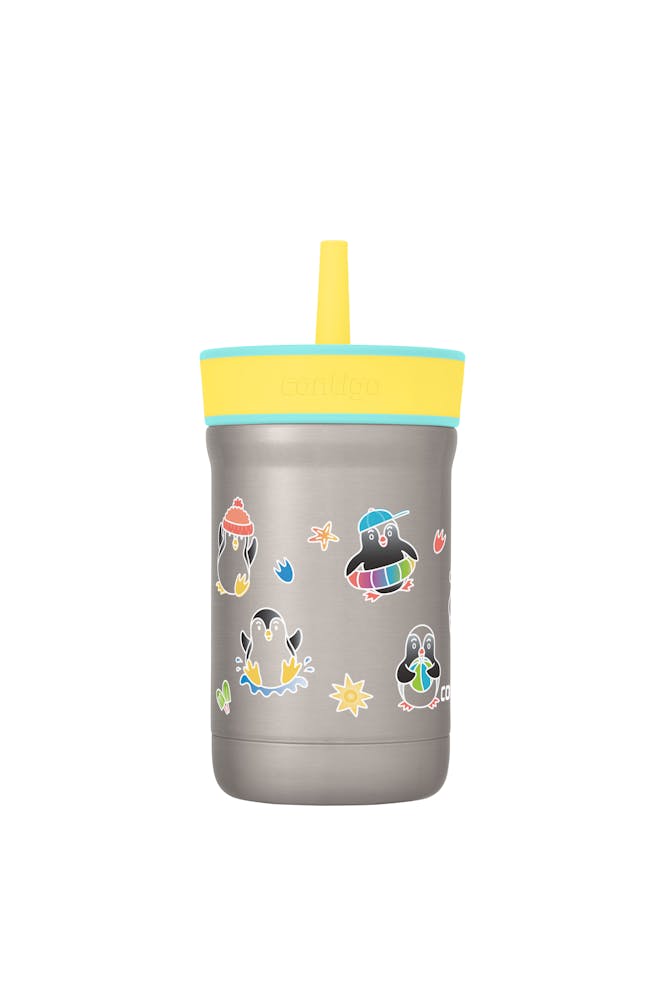 Contigo® Kids Leighton Spill-Proof Stainless Steel Tumbler with Straw, 12oz (RMRJ)