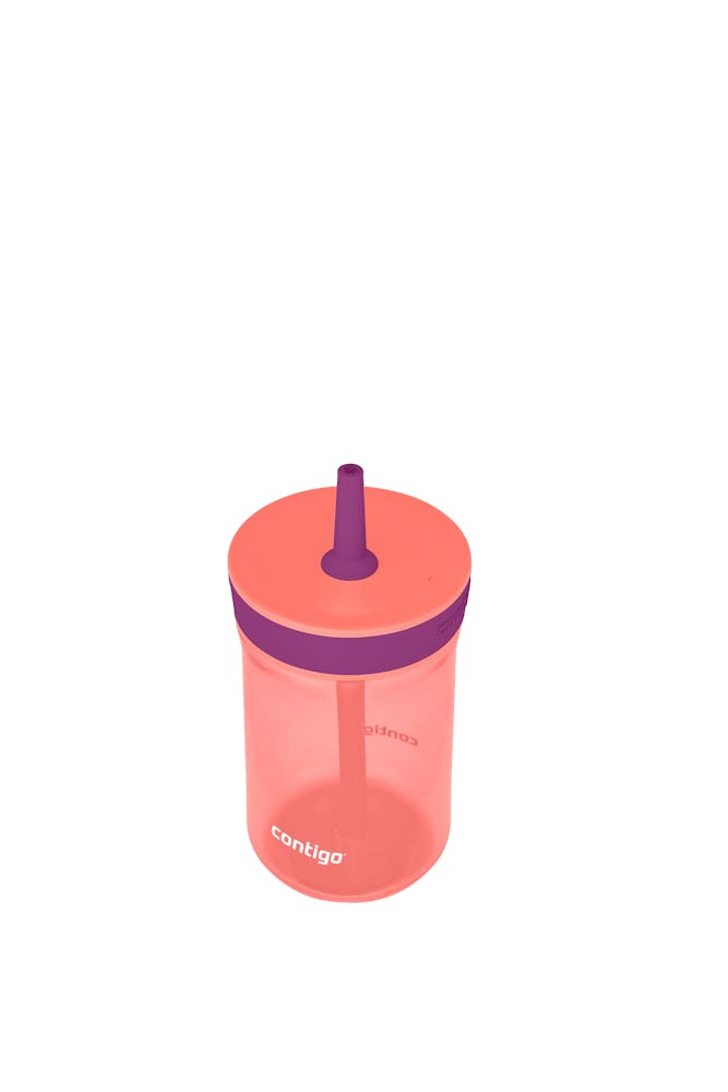 Contigo® Kids’ Leighton Straw Tumbler with Spill-Proof Leak-Proof Lid, 14oz (GAEA)