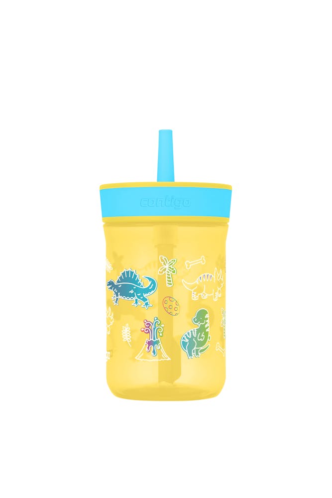 Contigo® Kids’ Leighton Straw Tumbler with Spill-Proof Leak-Proof Lid, 14oz (GAEA)
