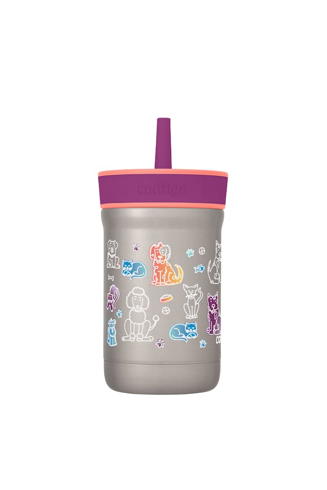 Contigo® Kids Leighton Spill-Proof Stainless Steel Tumbler with Straw, 12oz (RMRJ)
