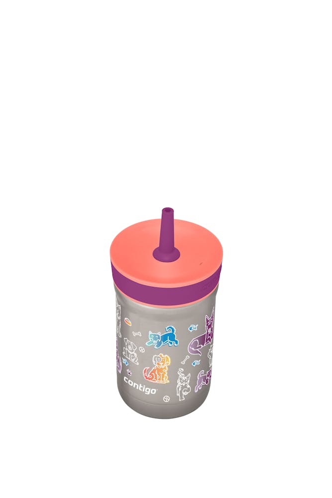 Contigo® Kids Leighton Spill-Proof Stainless Steel Tumbler with Straw, 12oz (RMRJ)