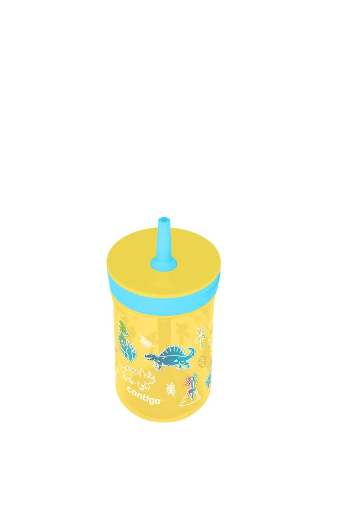 Contigo® Kids’ Leighton Straw Tumbler with Spill-Proof Leak-Proof Lid, 14oz (GAEA)