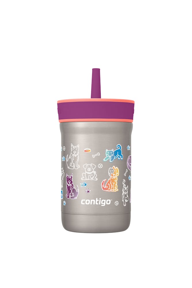 Contigo® Kids Leighton Spill-Proof Stainless Steel Tumbler with Straw, 12oz (RMRJ)