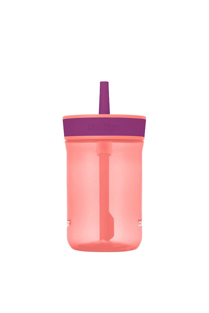 Contigo® Kids’ Leighton Straw Tumbler with Spill-Proof Leak-Proof Lid, 14oz (GAEA)