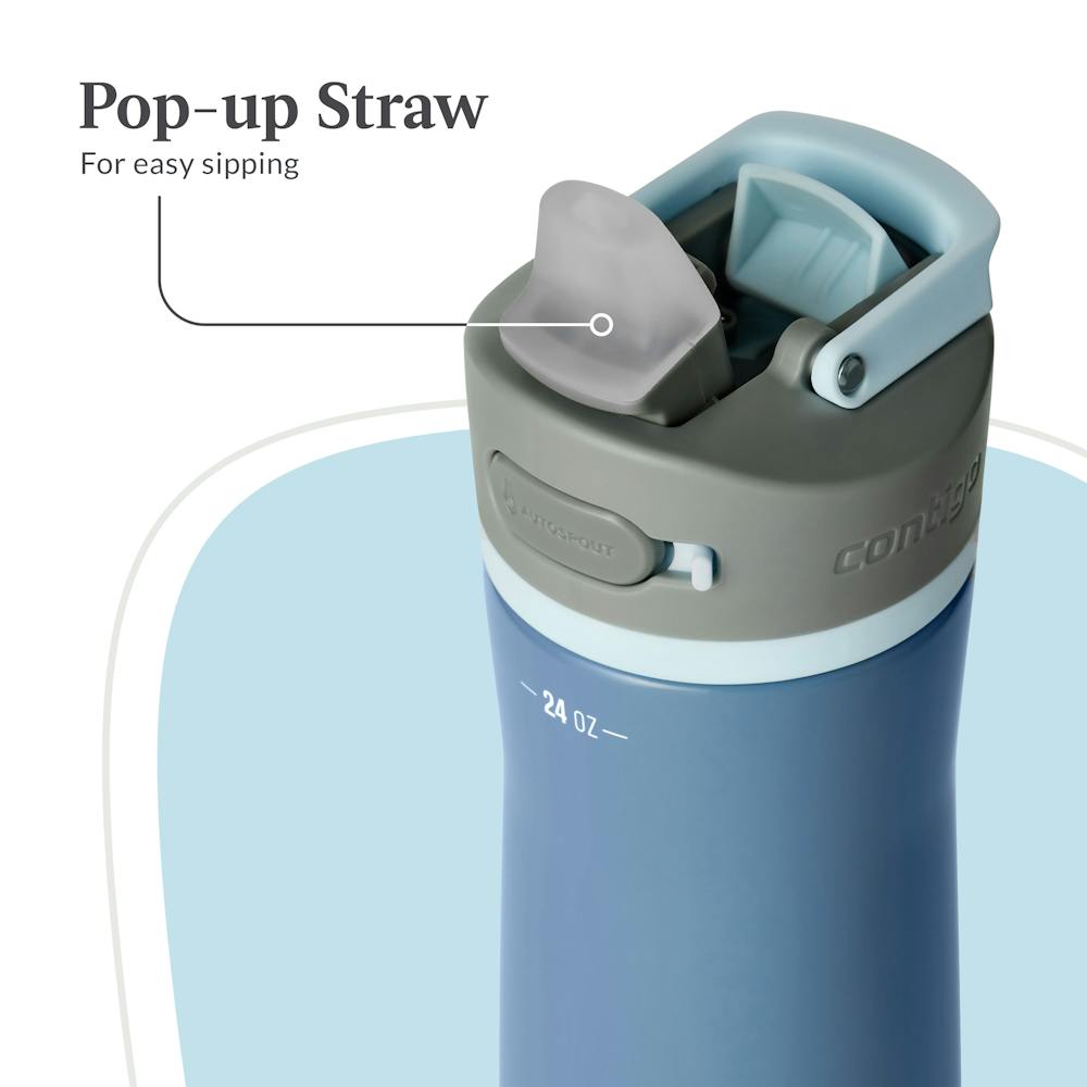 Contigo® Wells Chill Stainless Steel Filter Water Bottle with AUTOSPOUT® Straw Lid and Replacement Filter, 24 Oz (JDI0)